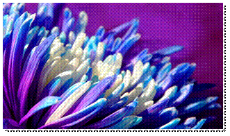 Description&nbsp;: 5150237-lg.jpg