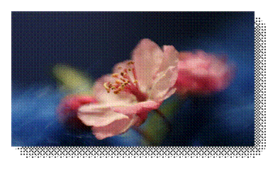 Description&nbsp;: 11018431-md.jpg