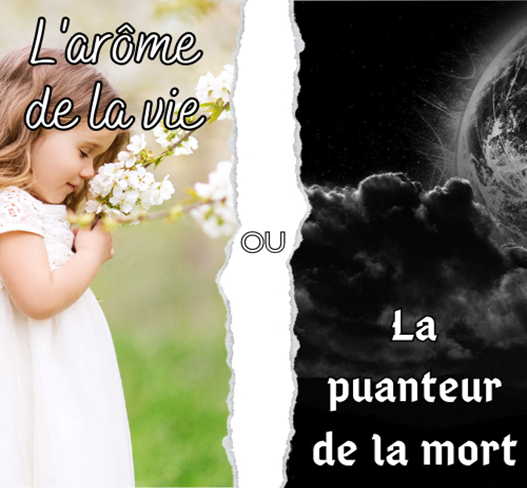 Une image contenant texte, Amour, fleur, baiser

Description g�n�r�e automatiquement