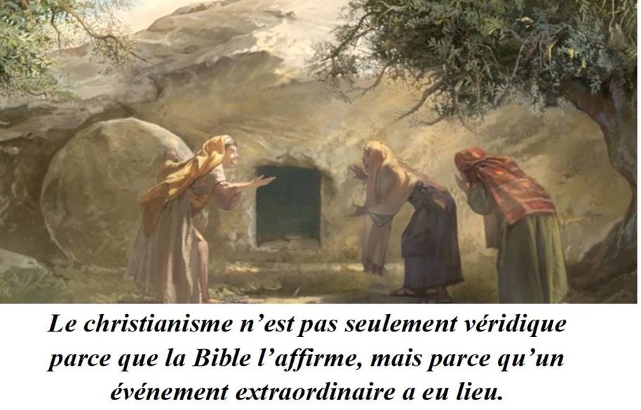 Une image contenant texte

Description g�n�r�e automatiquement