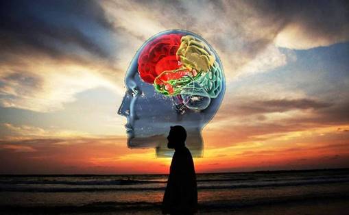 Une image contenant nature, cr�puscule

Description g�n�r�e automatiquement